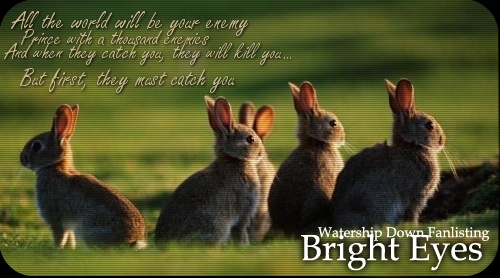 A group of wild rabbits in a field